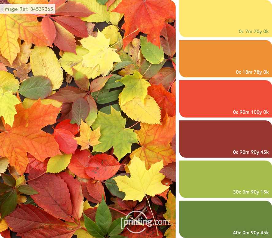 Colour Inspiration October