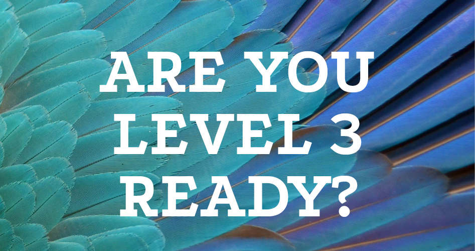 Are you Level 3 ready?